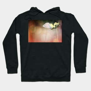 There is so much more to see if you just look up... Hoodie